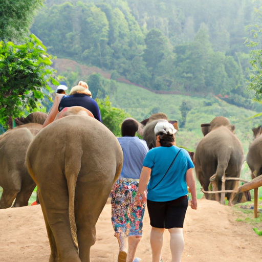 משפחה מבקרת בשמורת פילים בצ'אנג מאי